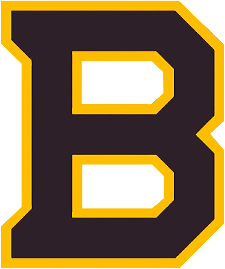 Boston Bruins 2019 Special Event Logo DIY iron on transfer (heat transfer)